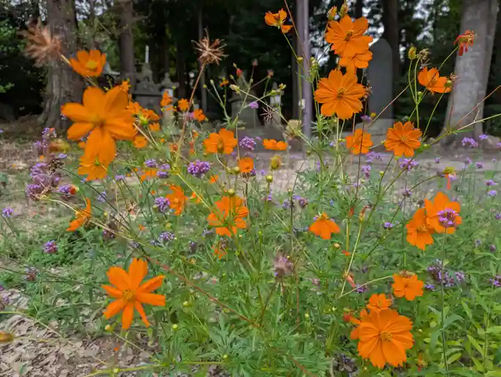 豊景神社(福島県)