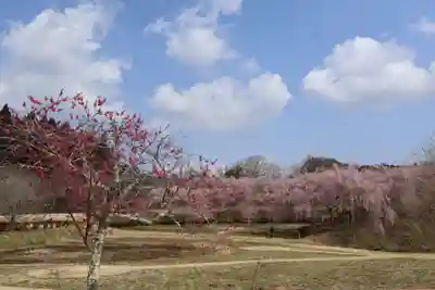 たばこ神社(栃木県)