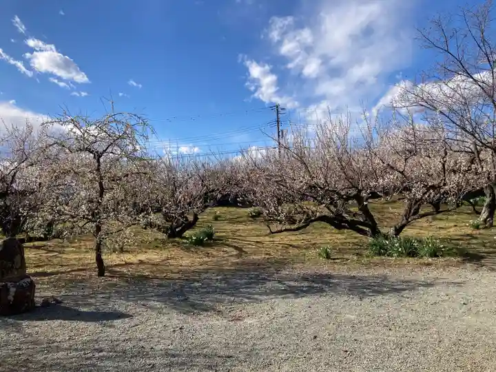 瑞雲寺(神奈川県)