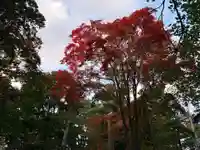 北広島市総鎮守 廣島神社の自然
