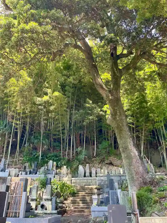 真福寺(神奈川県)