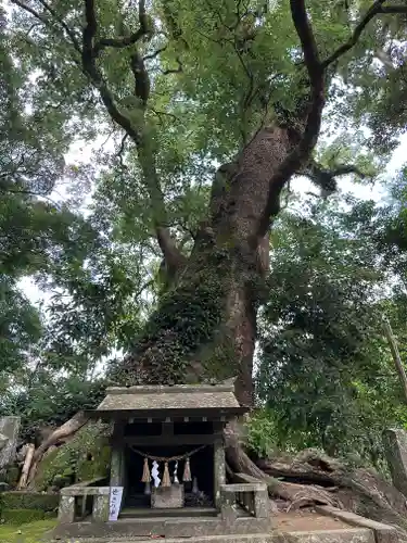 生目神社(宮崎県)