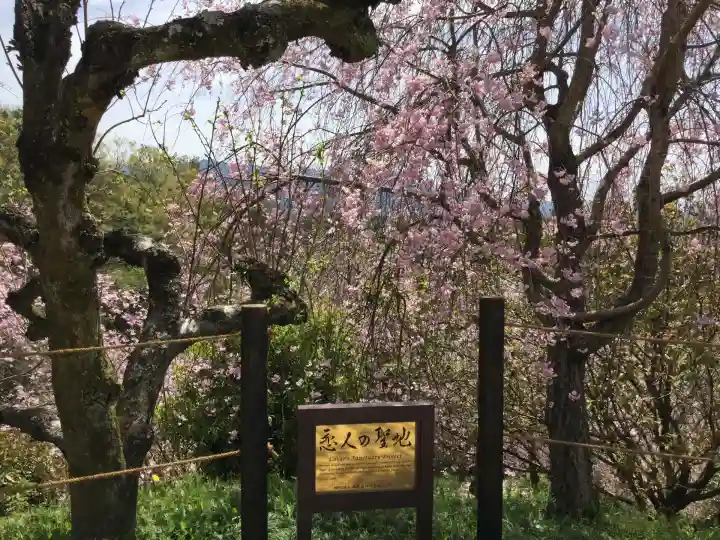 大神神社(奈良県)