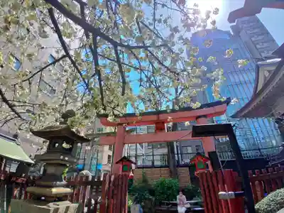 柳森神社の鳥居