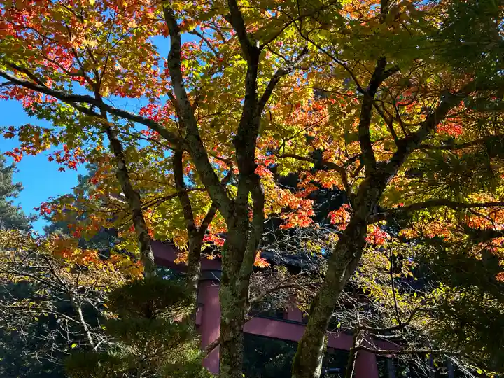 北口本宮冨士浅間神社(山梨県)