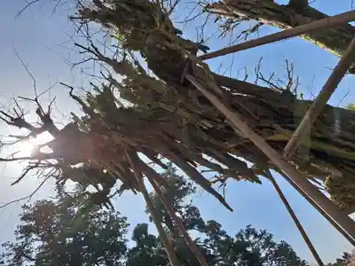 村山浅間神社(静岡県)