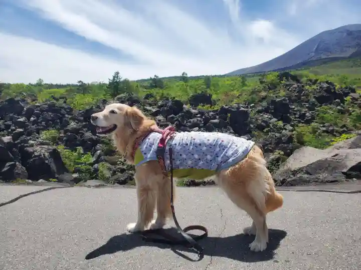 寛永寺別院浅間山観音堂の動物