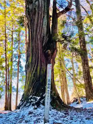 毘沙門堂の{uncategorized: "未分類", other: "その他", undefined: "問題あり", building: "その他建物", grave: "お墓", sacred_gate: "鳥居", guardian: "狛犬", statue: "像", buddha: "仏像", history: "歴史", nature: "自然", garden: "庭園", animal: "動物", pagoda: "塔", temizu: "手水舎", mountain_gate: "山門・神門", sanctuary: "本殿・本堂", subordinate: "末社・摂社", art: "芸術", scenery: "景色", jizo: "地蔵", ema: "絵馬", goshuin: "御朱印", omikuji: "おみくじ", items: "授与品その他", amulet: "お守り", goshuincho: "御朱印帳", eats: "食事", festival: "お祭り", votive_dance: "神楽", shichigosan: "七五三参", wedding: "結婚式", experience: "体験その他", initially: "初詣", around: "周辺", anti_infection: "感染症対策"}