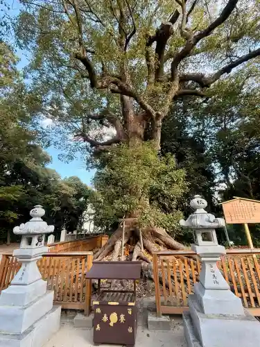 和泉國一之宮　大鳥大社(大阪府)