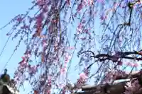 善龍寺(東京都)