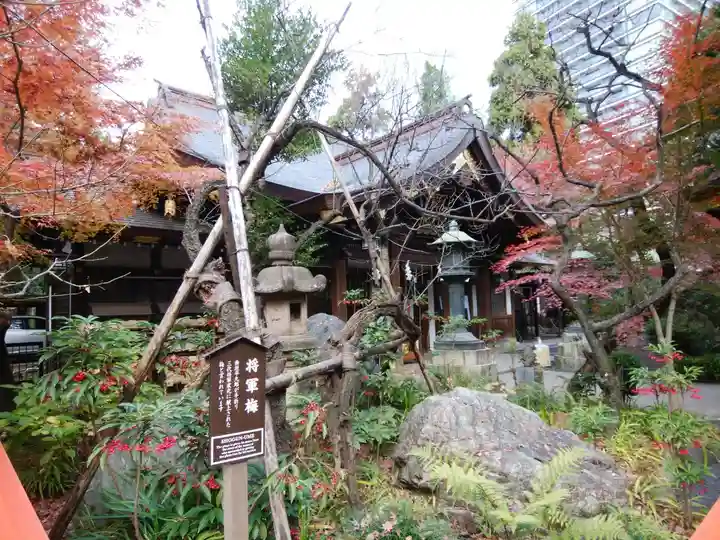 愛宕神社の自然