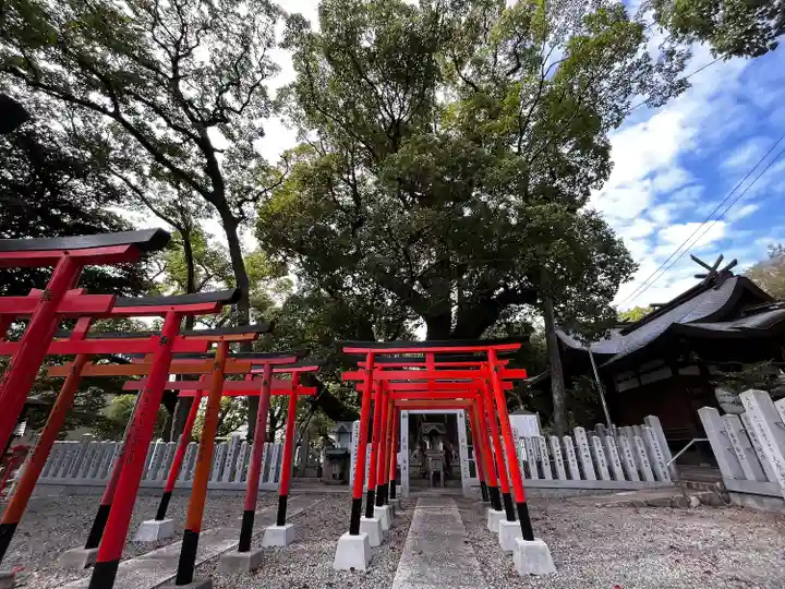信太森神社(葛葉稲荷神社)(大阪府)