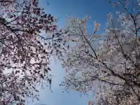 長谷寺の{uncategorized: "未分類", other: "その他", undefined: "問題あり", building: "その他建物", grave: "お墓", sacred_gate: "鳥居", guardian: "狛犬", statue: "像", buddha: "仏像", history: "歴史", nature: "自然", garden: "庭園", animal: "動物", pagoda: "塔", temizu: "手水舎", mountain_gate: "山門・神門", sanctuary: "本殿・本堂", subordinate: "末社・摂社", art: "芸術", scenery: "景色", jizo: "地蔵", ema: "絵馬", goshuin: "御朱印", omikuji: "おみくじ", items: "授与品その他", amulet: "お守り", goshuincho: "御朱印帳", eats: "食事", festival: "お祭り", votive_dance: "神楽", shichigosan: "七五三参", wedding: "結婚式", experience: "体験その他", initially: "初詣", around: "周辺", anti_infection: "感染症対策"}