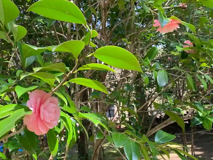 野宮神社の自然