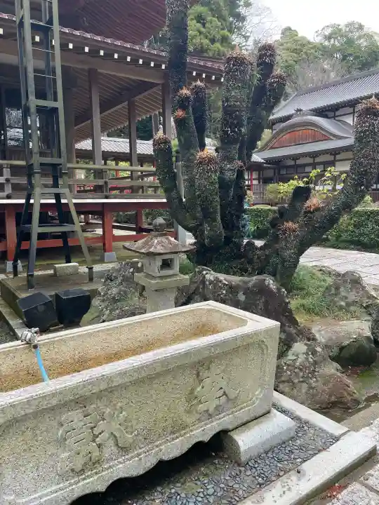 本漸寺の{uncategorized: "未分類", other: "その他", undefined: "問題あり", building: "その他建物", grave: "お墓", sacred_gate: "鳥居", guardian: "狛犬", statue: "像", buddha: "仏像", history: "歴史", nature: "自然", garden: "庭園", animal: "動物", pagoda: "塔", temizu: "手水舎", mountain_gate: "山門・神門", sanctuary: "本殿・本堂", subordinate: "末社・摂社", art: "芸術", scenery: "景色", jizo: "地蔵", ema: "絵馬", goshuin: "御朱印", omikuji: "おみくじ", items: "授与品その他", amulet: "お守り", goshuincho: "御朱印帳", eats: "食事", festival: "お祭り", votive_dance: "神楽", shichigosan: "七五三参", wedding: "結婚式", experience: "体験その他", initially: "初詣", around: "周辺", anti_infection: "感染症対策"}