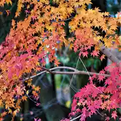 相馬中村神社の自然