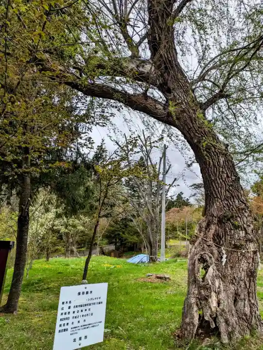留辺蘂神社の自然