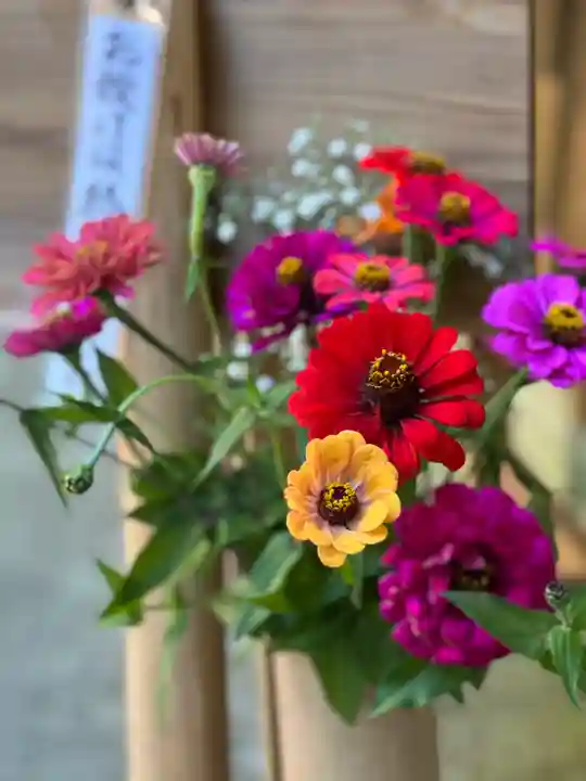 須山浅間神社(静岡県)