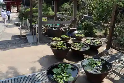 大日寺のその他建物