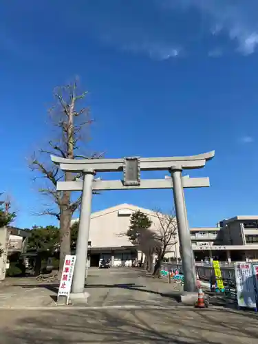 福井神社の鳥居