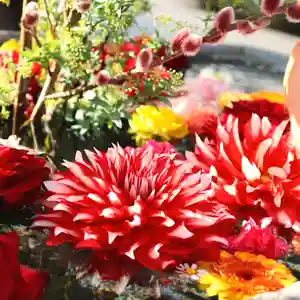 三津厳島神社の手水舎(2022年02月27日(日) 20時46分25秒投稿)