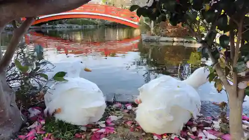 神泉苑(京都府)