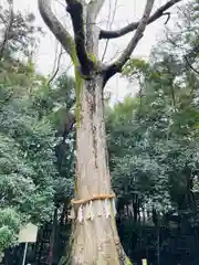 宇治上神社(京都府)