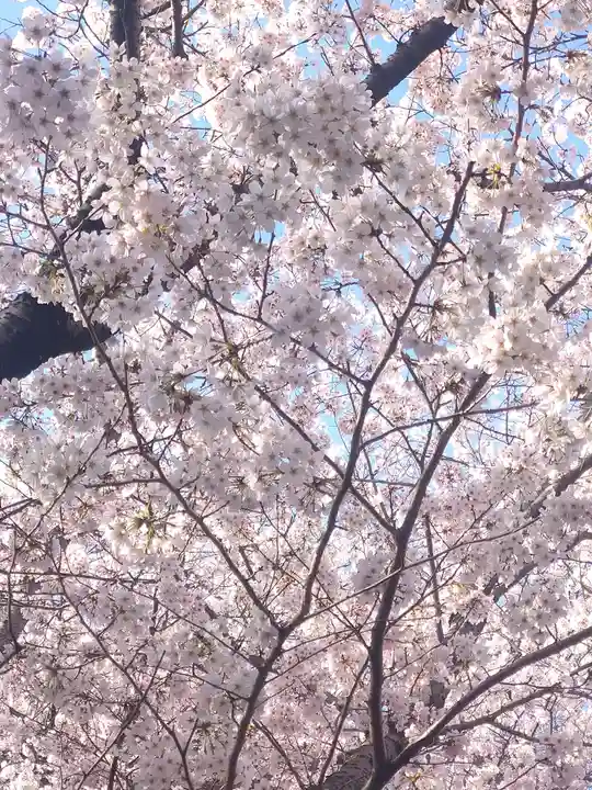 足高神社の自然