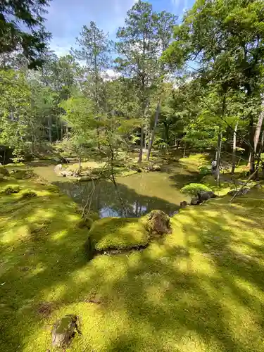 西芳寺の庭園