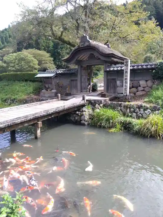 朝倉神社(福井県)