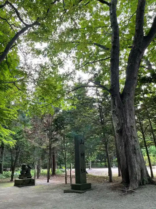 千歳神社の自然