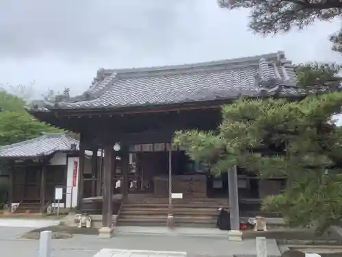 高照寺の本殿・本堂
