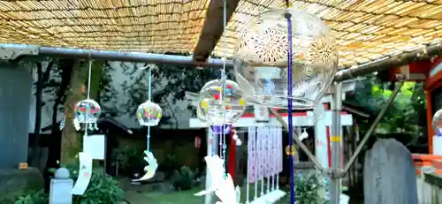 くまくま神社(導きの社 熊野町熊野神社)のお祭り