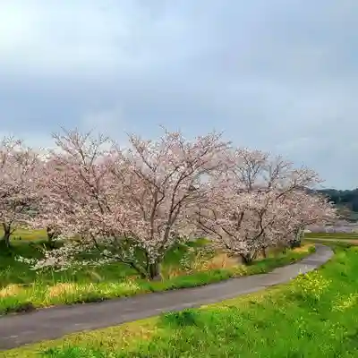 雨櫻神社(静岡県)