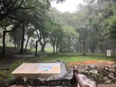 宇佐宮弥勒寺跡の自然