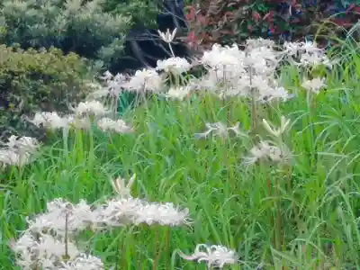 阿邪訶根神社の自然