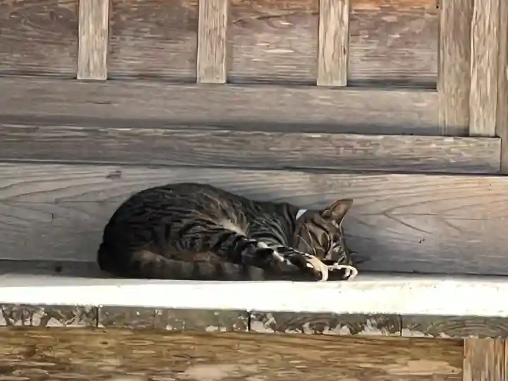 中尊寺(岩手県)