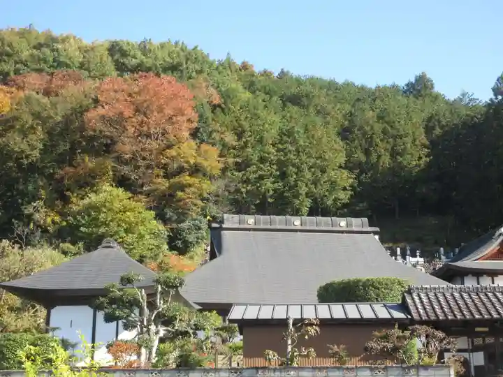 長興寺(埼玉県)