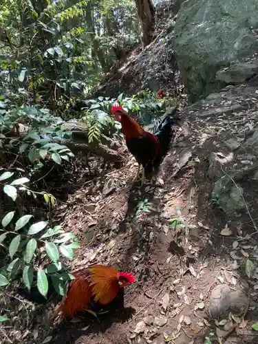 大甕神社(茨城県)
