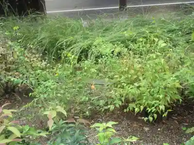 中宮寺(奈良県)