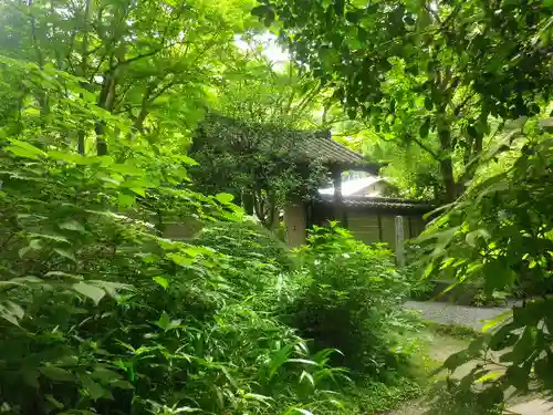 瑞泉寺の庭園