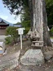 中禅寺(栃木県)