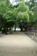 白鳥神社の鳥居