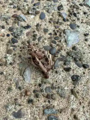 三島神社(千葉県)
