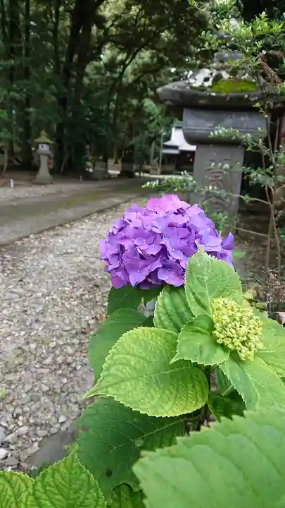 大田原神社の自然