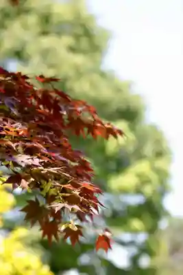 氷川女體神社(埼玉県)