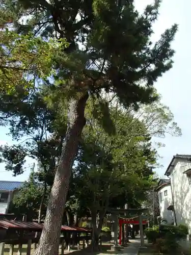 登戸稲荷神社のその他建物