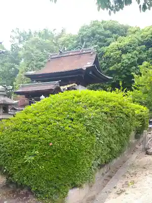 阿智神社の本殿・本堂