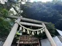 川越氷川神社(埼玉県)