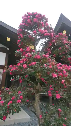 大神神社(奈良県)